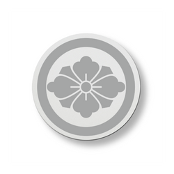Personalized Absorbent Round Ceramic Stone Coaster