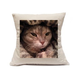 Custom Printed Natural Canvas Pillowcase with Zipper 18"x18"