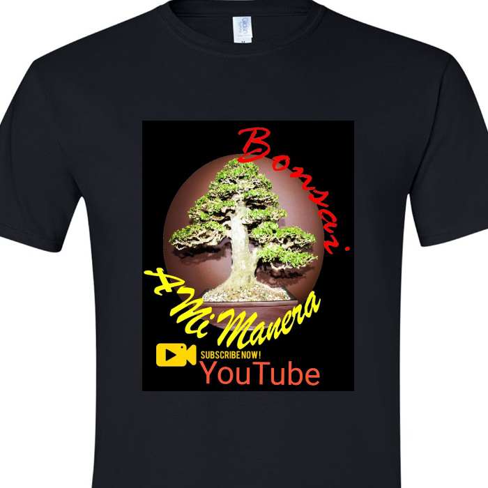 Custom Printed Gildan Soft Unisex Tee Shirt