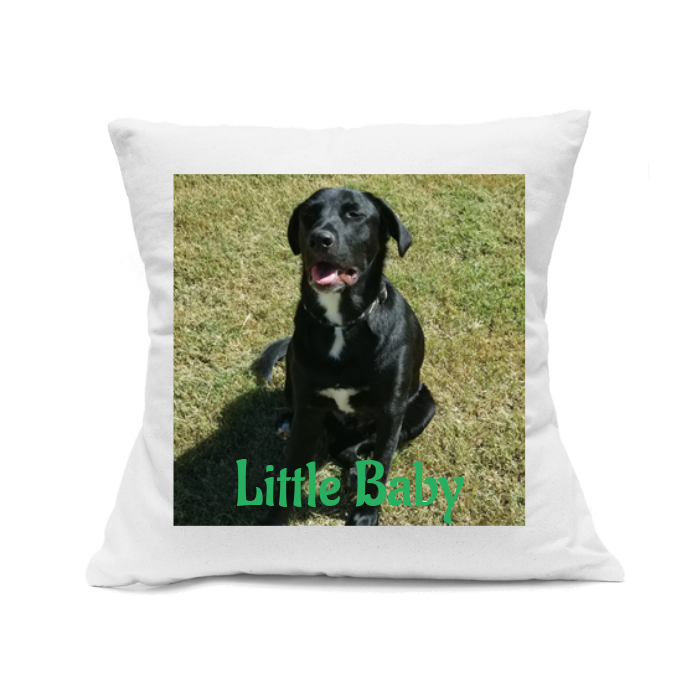 Custom Printed White Canvas Pillowcase with Zipper 18"x18"